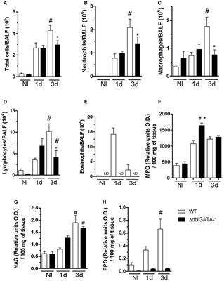 Eosinophil-Associated Innate IL-17 Response Promotes Aspergillus fumigatus Lung Pathology